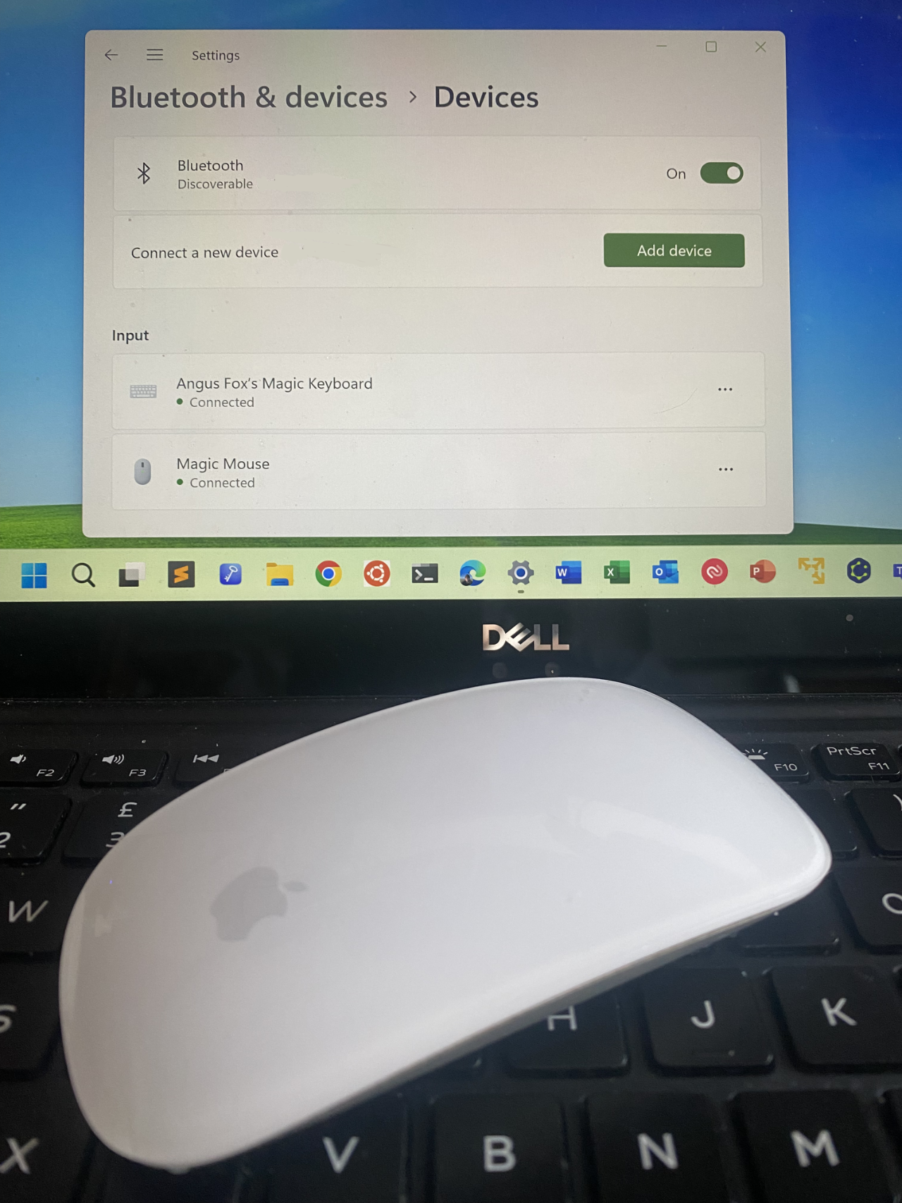 Apple Magic Mouse connected to Windows 11