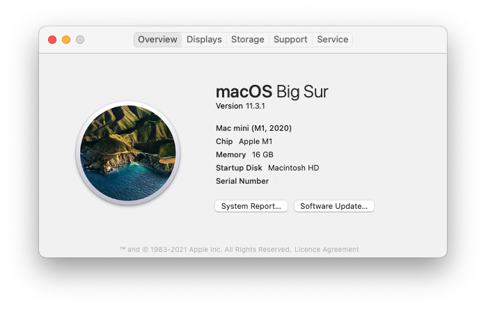 About this Mac screenshot showing details of macOS Big Sur 11.3.1 on a 16GB Mac mini (M1, 2020)
