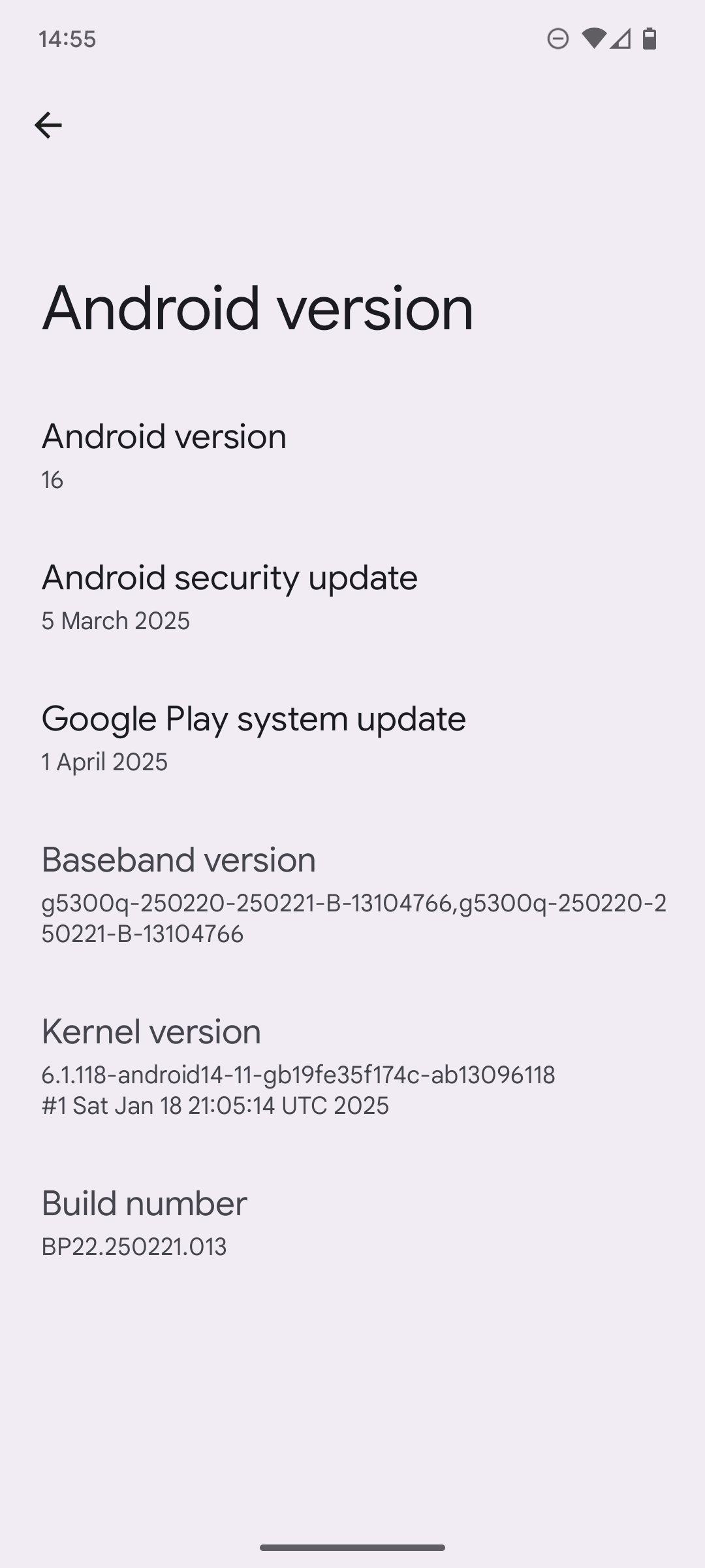 Android 16 Beta 3.1 Version details screen