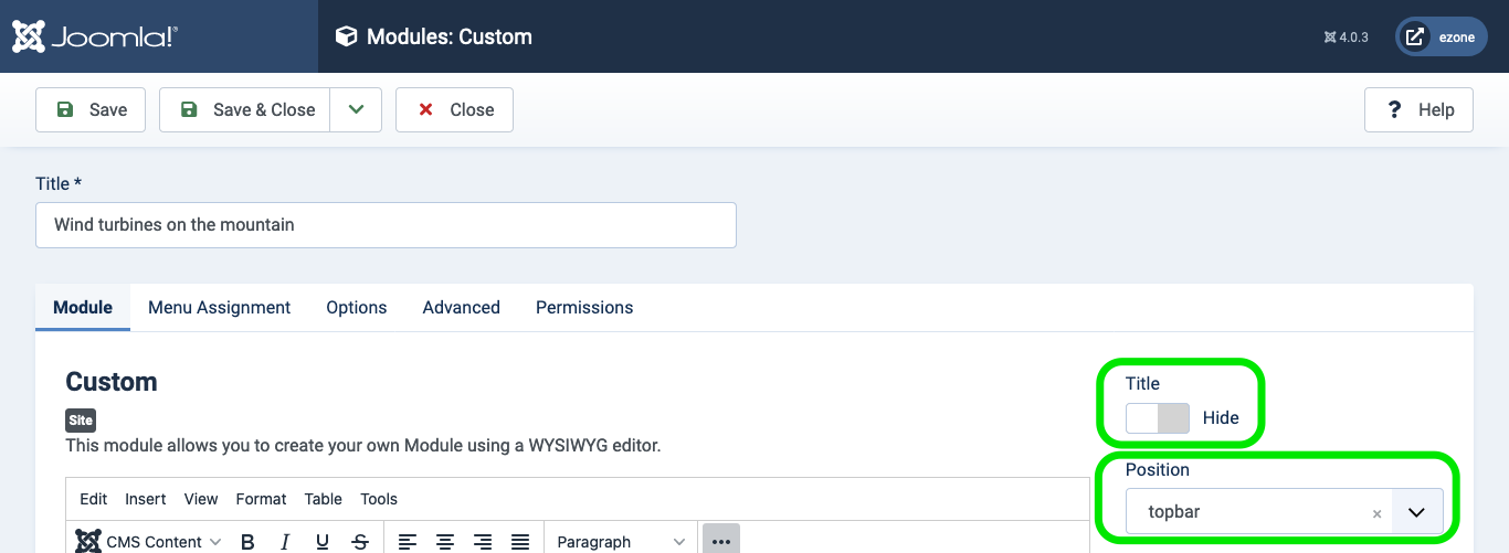 Screenshot showing where to enter Module information for the custom module being added.