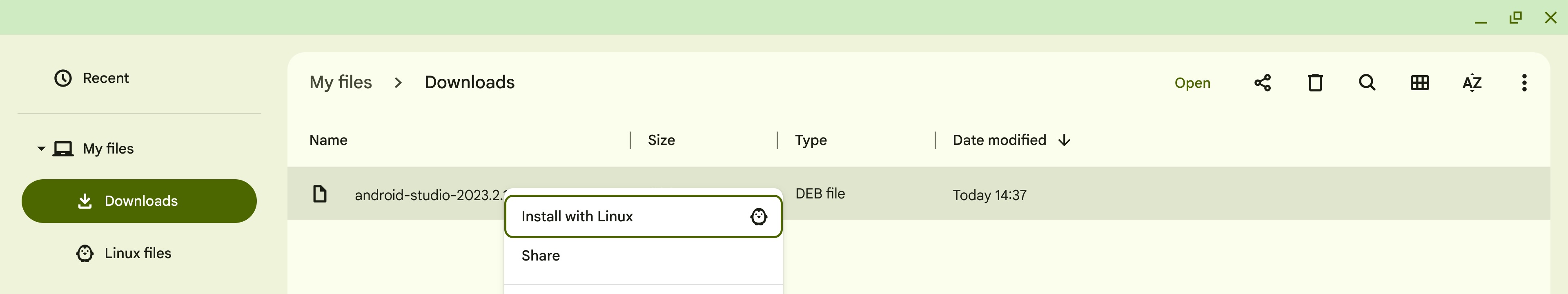 Chromebook DEB package file Install with Linux