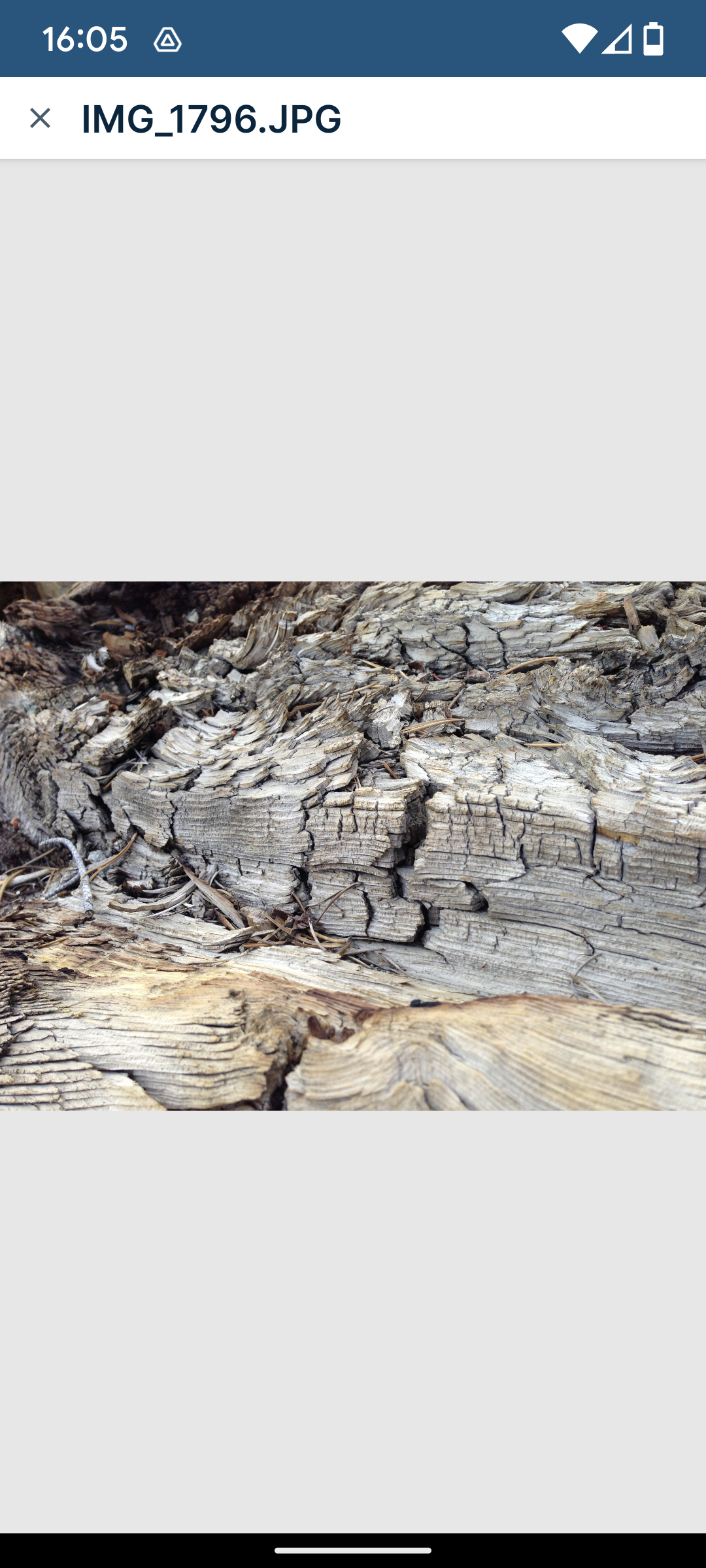 Filecloud mobile app for Android - File viewer