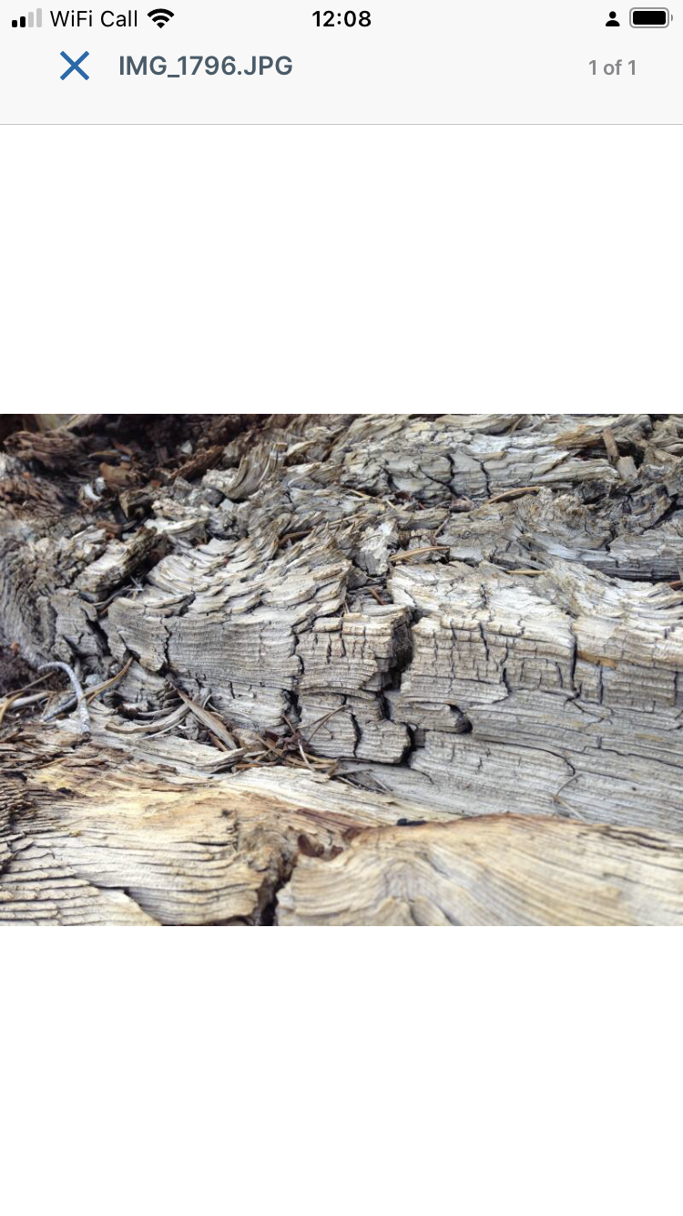 Filecloud mobile app for iOS - File Viewer