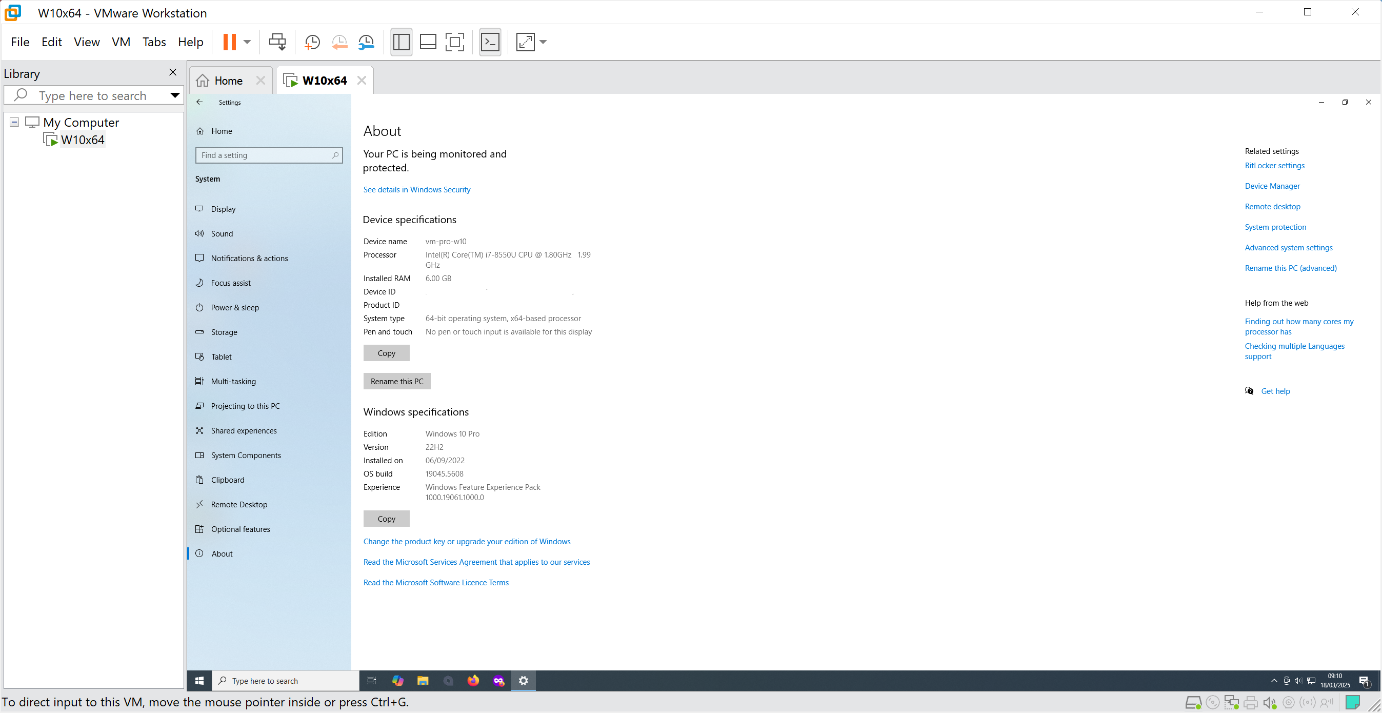My Windows 10 Intel VM for legacy software - About