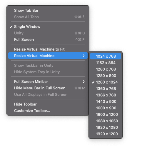 View --> Resize Virtual Machine Menu screenshot