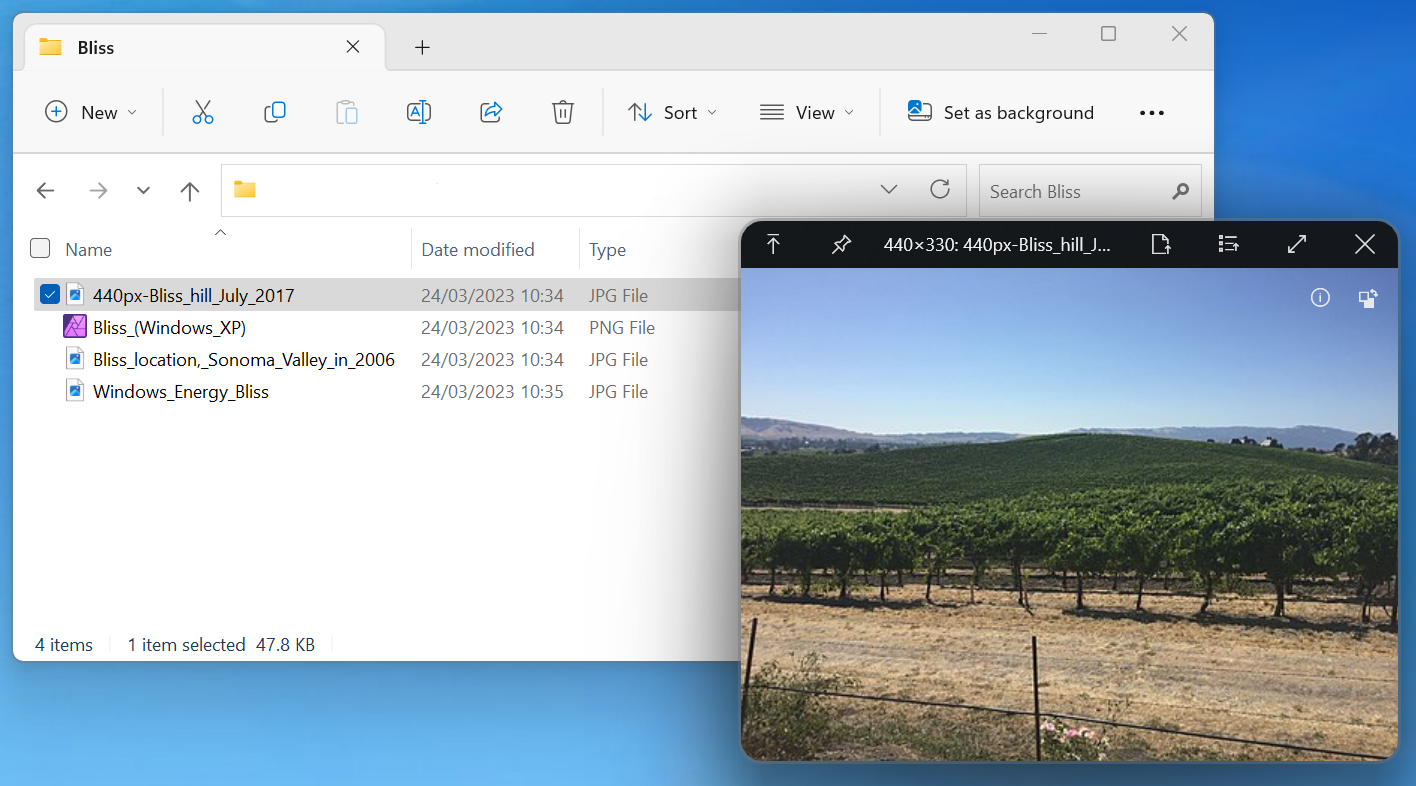 Windows Explorer with QuickLook activated for an image