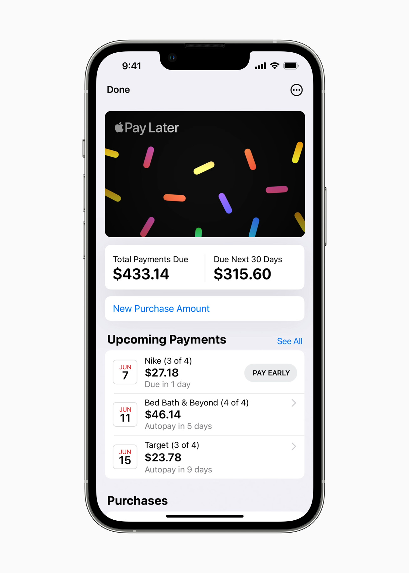 Apple Pay, Pay Later summary